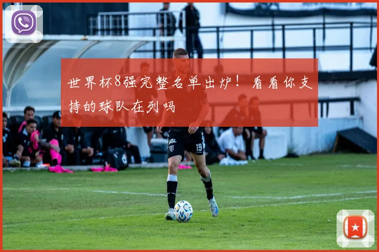 世界杯8强完整名单出炉!看看你支持的球队在列吗