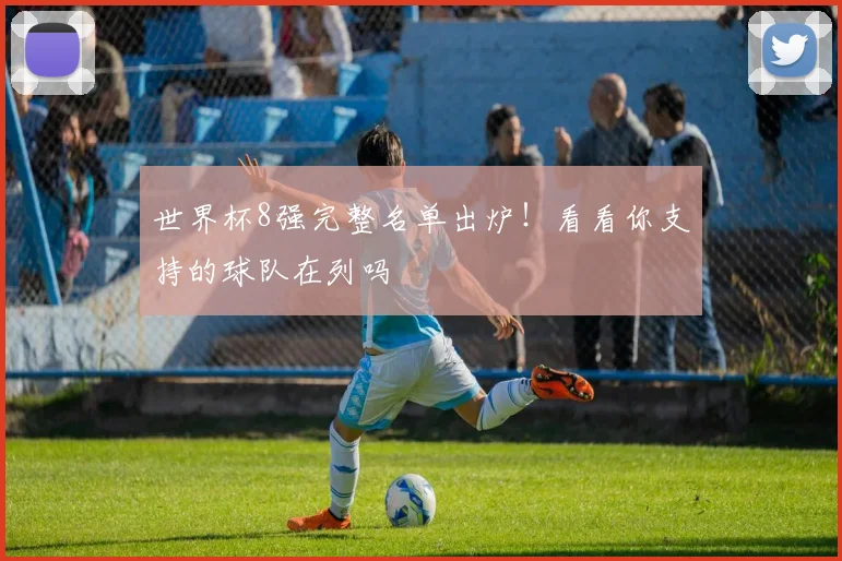 世界杯8强完整名单出炉!看看你支持的球队在列吗