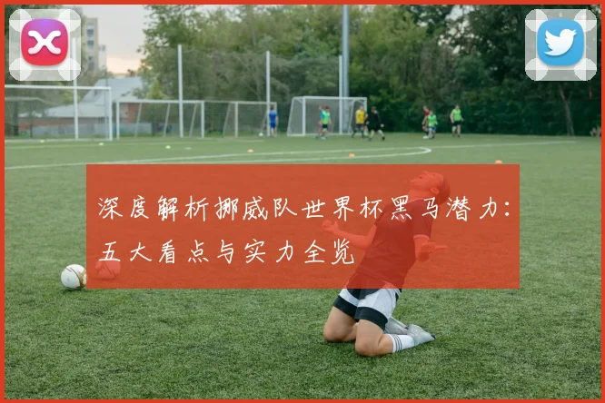 深度解析挪威队世界杯黑马潜力:五大看点与实力全览