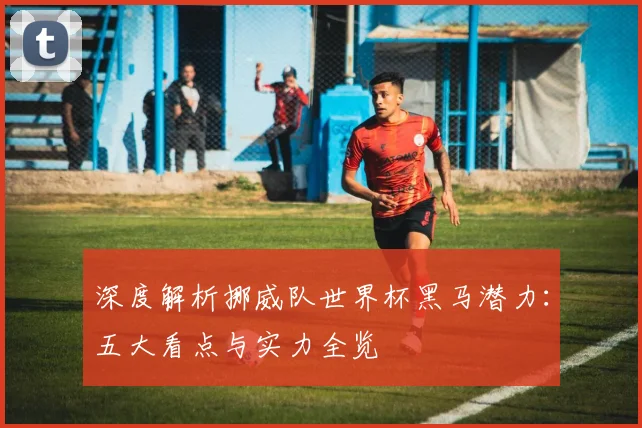深度解析挪威队世界杯黑马潜力:五大看点与实力全览